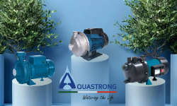 Aquastrong